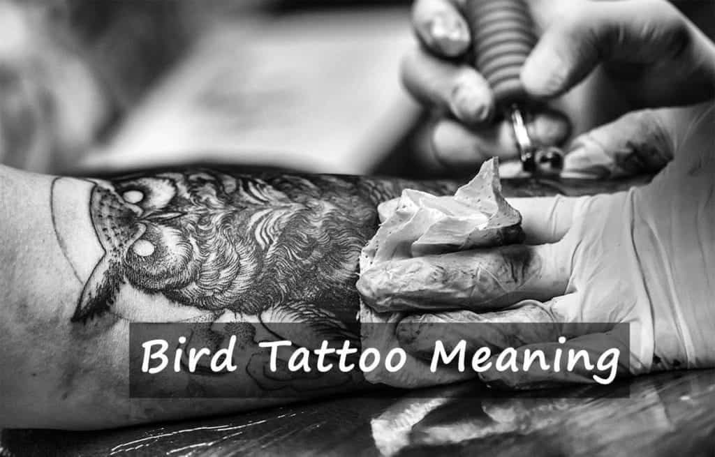 Bird Tattoo Meaning | The Ultimate Guide for your perfect bird tattoo