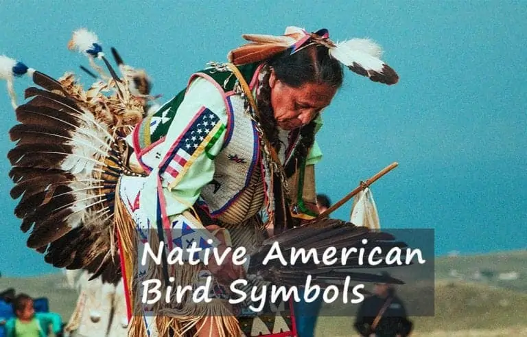 Native-American-Bird-Symbols.-Dancing