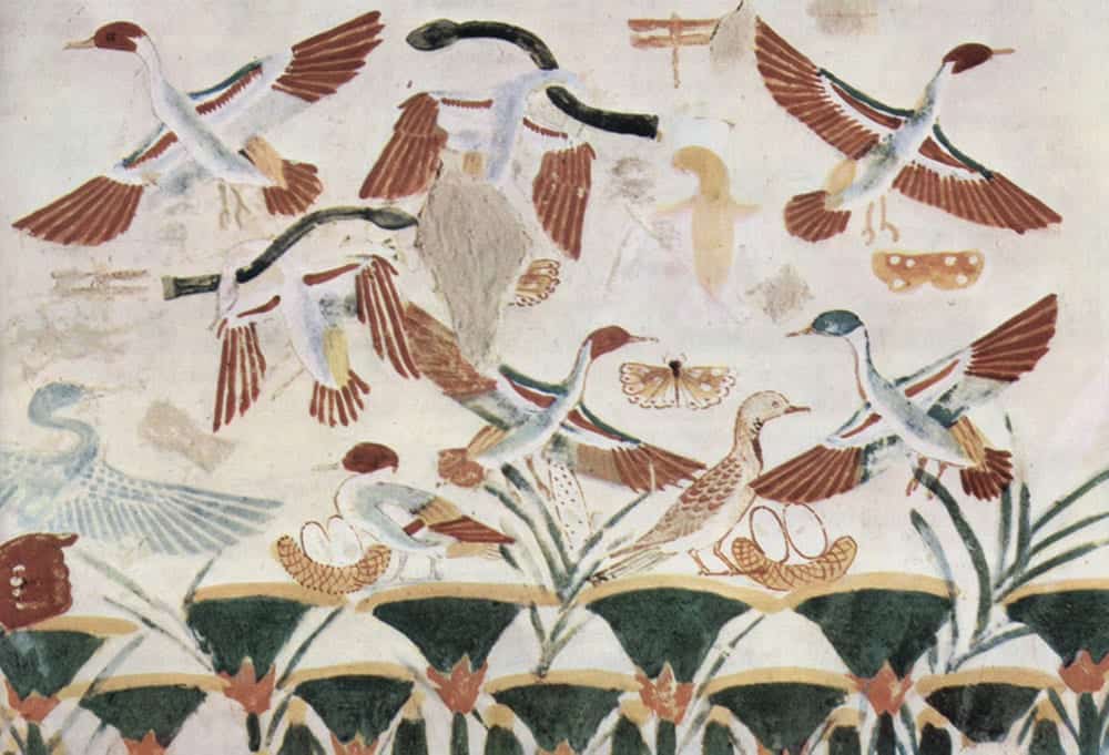 Bird Symbolism in Different Cultures