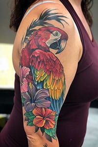 Parrot bird Tattoos meaning