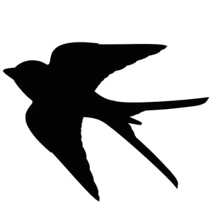 Swallow Bird Meaning as a Spirit Animal