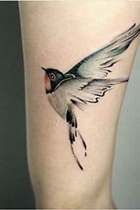 Swallow bird Tattoo Meaning