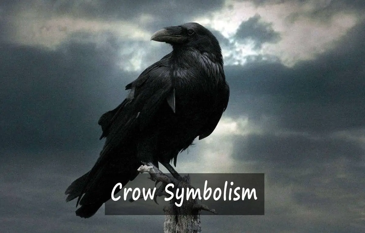 Crow Symbolism