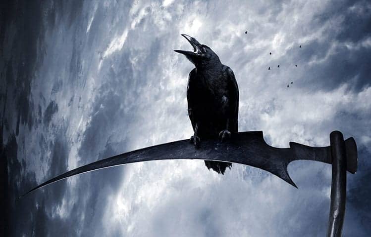 crows-in-mythology-best-stories-and-beliefs-unbelievably-odd-facts