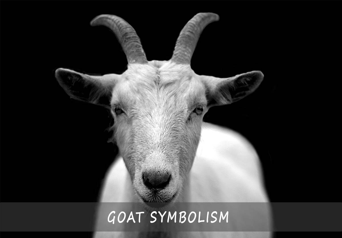 The Goat Symbolism A Guide Of Understanding The Goat