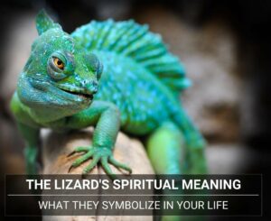 The Lizard Spiritual Meaning