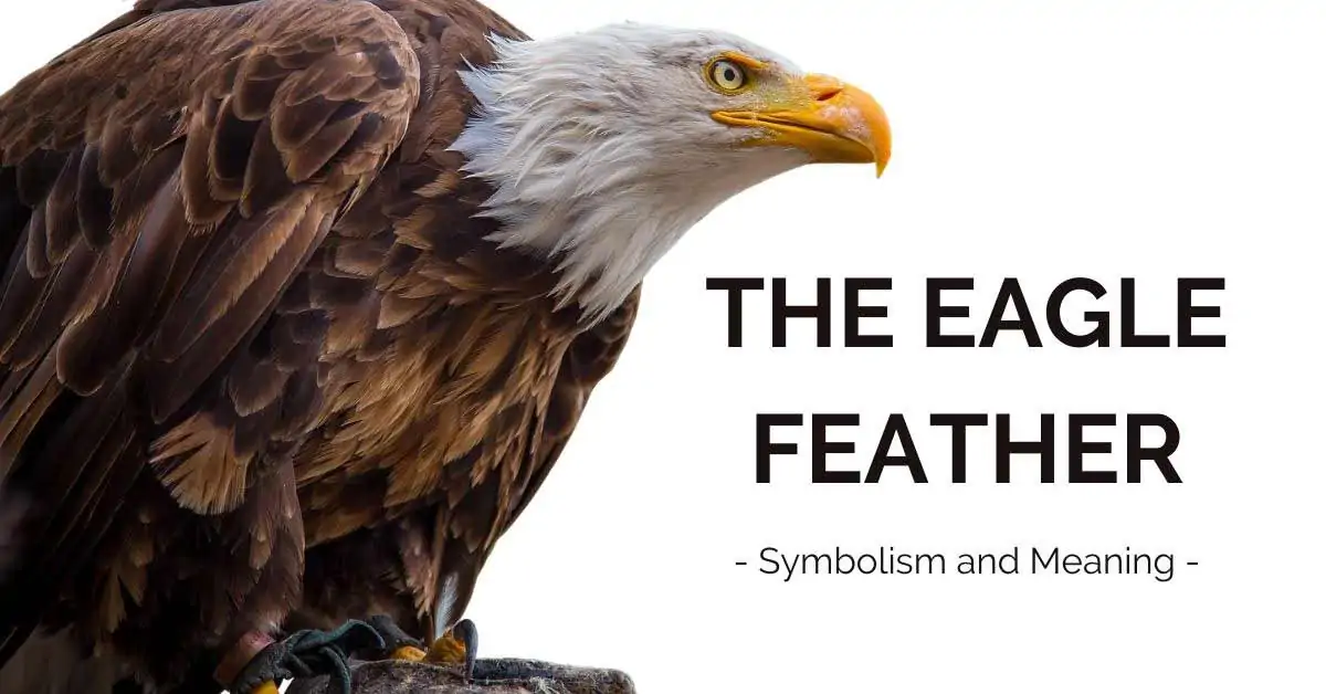 Eagle Feather Symbolism