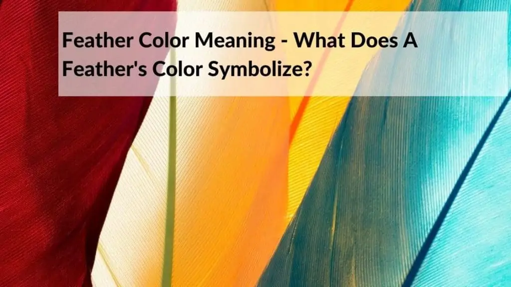 Feather Color Meaning