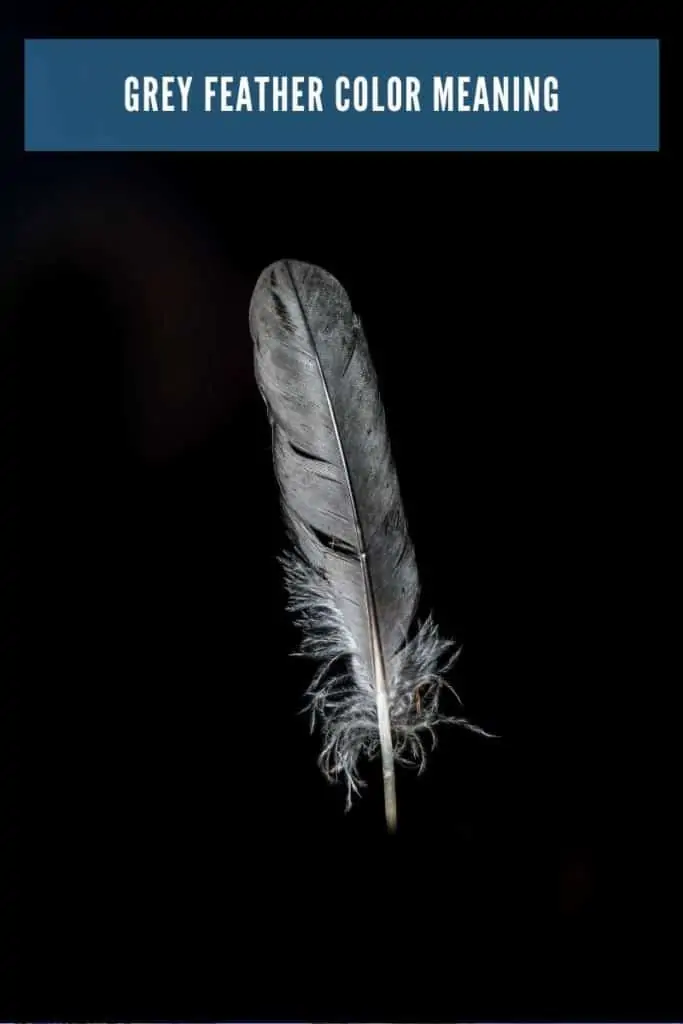 grey feather meaning