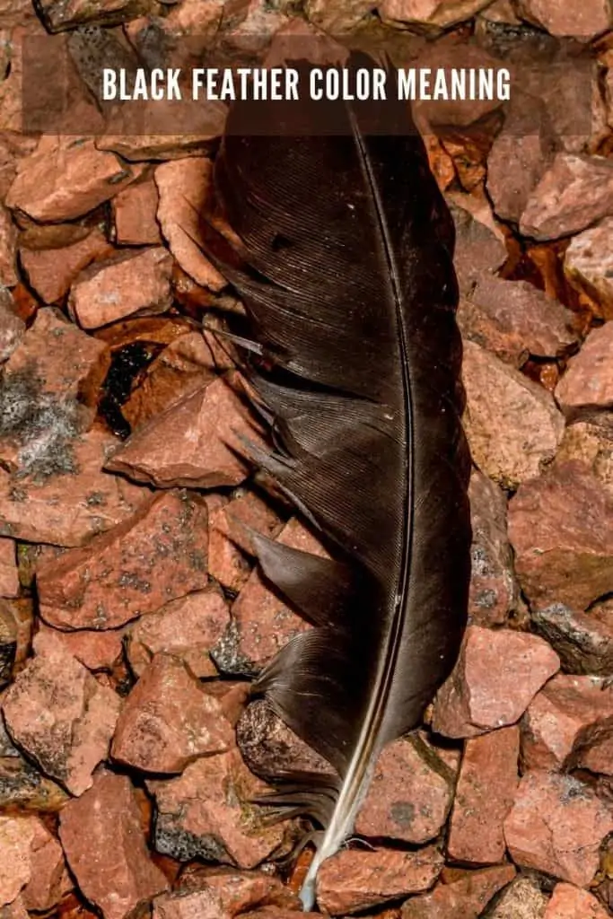 black feather meaning