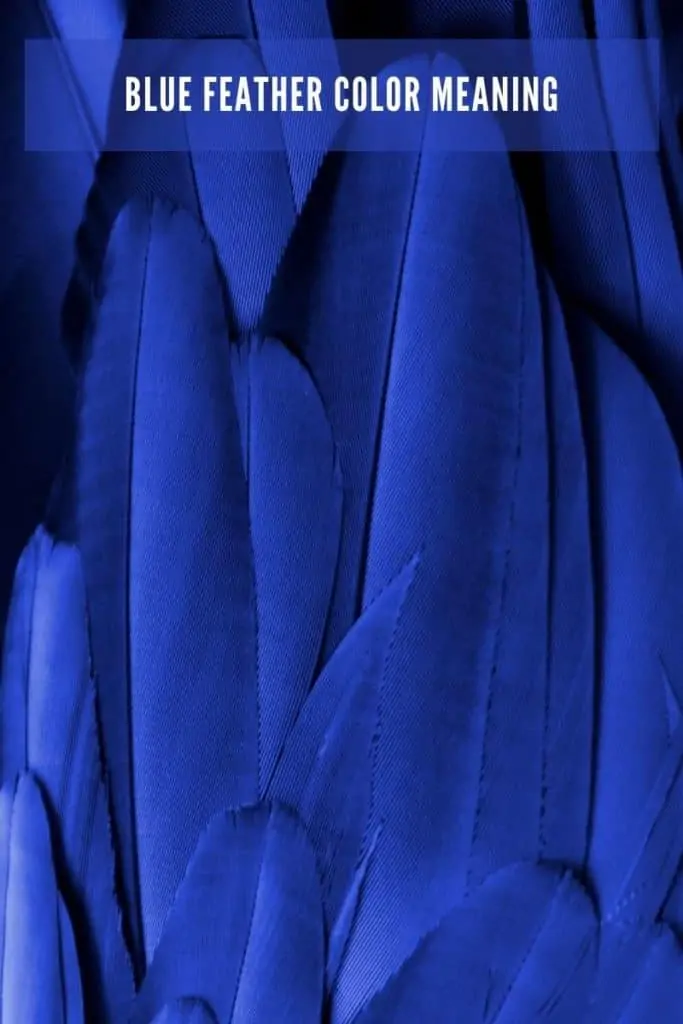 blue feather color meANING The Secret Language of Feathers: Decoding Their Color Meanings