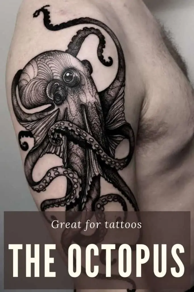 octopus tattoo