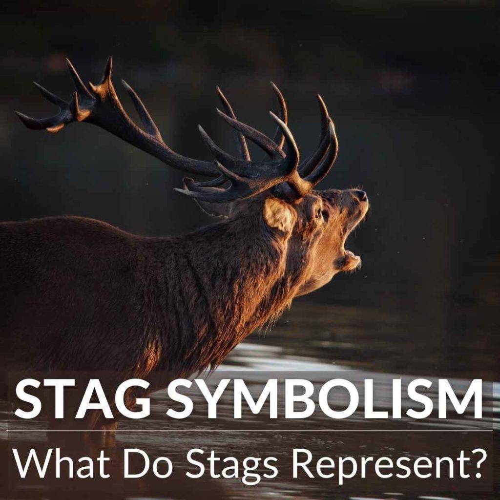 stag-symbolism-unveiled-spirituality-symbolism