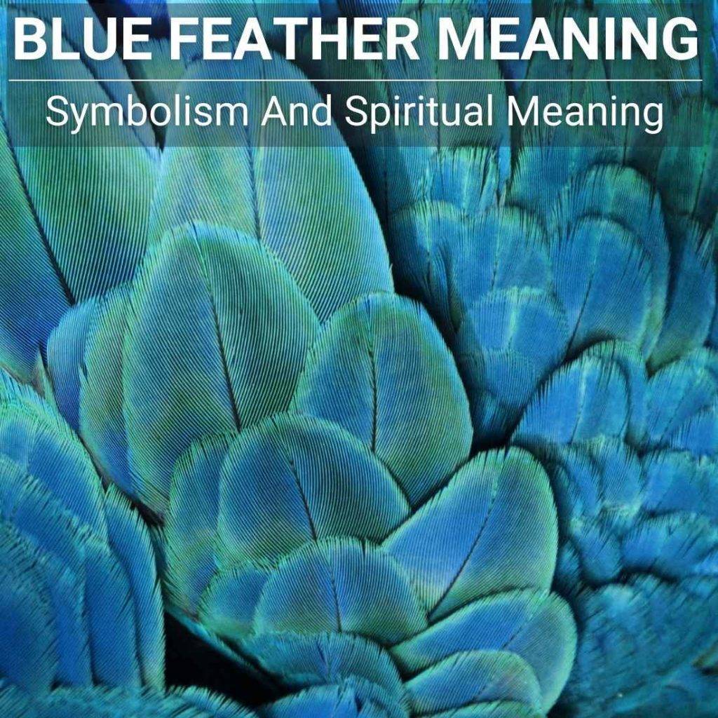 Blue Feather Meaning The Vibrant Language Of Nature