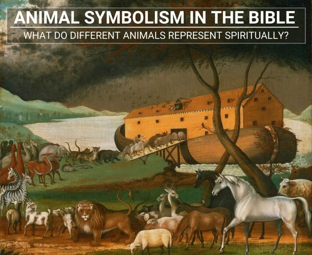 animal-symbolism-in-the-bible-what-do-animals-represent-spiritually