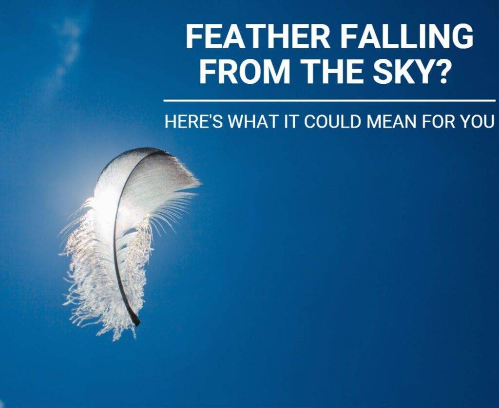 feather-falling-from-the-sky-here-s-what-it-could-mean-for-you