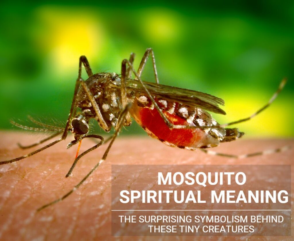 unveiling-the-spiritual-meaning-of-mosquitoes